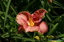 comp_DSC05234.webp