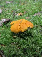 009_576x768.webp