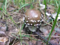 011_1024x768.webp