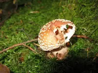 014_1024x768.webp