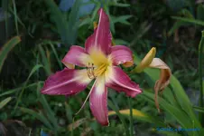 comp_DSC05237.webp