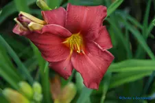 comp_DSC05241.webp