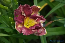comp_DSC05242.webp