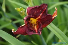 comp_DSC05243.webp