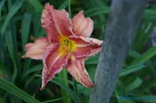 comp_DSC05244.webp