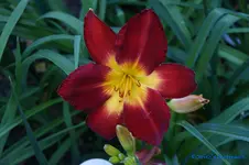 comp_DSC05245.webp