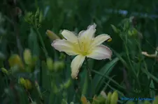 comp_DSC05249.webp