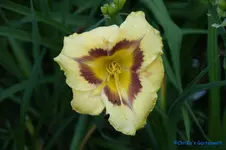 comp_DSC05253.webp