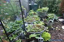 comp_DSC05254.webp