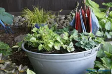 comp_DSC05255.webp