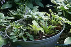 comp_DSC05256.webp