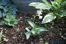 comp_DSC05257.webp