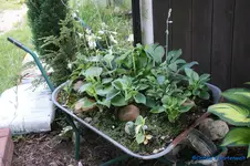 comp_DSC05258.webp