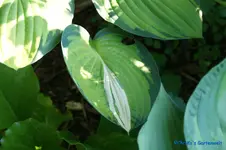 comp_DSC05187.webp