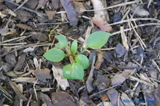 comp_DSC05189.webp