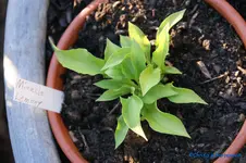 comp_DSC05190.webp