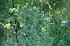 comp_DSC05199.webp