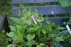 comp_DSC05200.webp