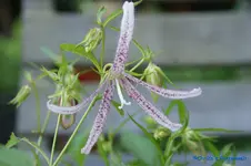 comp_DSC05206.webp