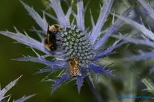 comp_DSC05223.webp