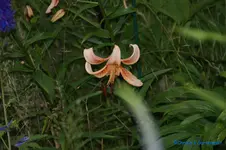 comp_DSC05225.webp