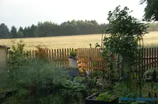 comp_DSC05211.webp