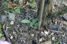 comp_DSC05208.webp
