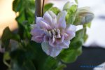 comp_DSC05193.jpg