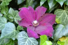 DSC_8457.webp