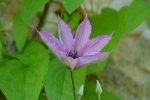 DSC_8479.jpg