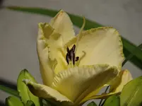 DSC02490.webp