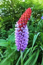 DSCF6491 (2).webp