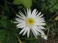IMG_4943.webp