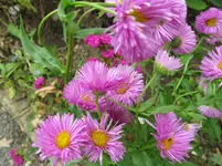 IMG_4947.webp