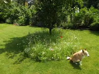 DSCF0771.webp