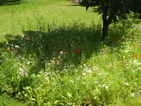 DSCF0775.webp