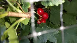20160627_121447-1.webp