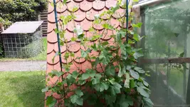 20160627_121528.webp