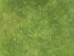 K1600_IMG_20160626_132944.jpg