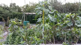 20160627_210632.webp