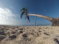 G0101466_1466859181027_high.webp