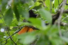 DSC_6489.jpg