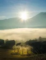 200-0009.webp