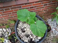 PHOTO_20160624_194146.webp