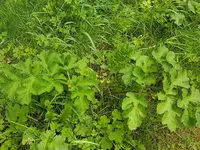 20160516_141111.webp