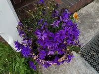 PHOTO_20160624_194801.webp