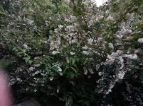 PHOTO_20160624_194539.webp