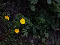 PHOTO_20160606_170649.webp