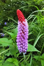 DSCF6554 (2).webp