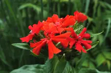 DSCF6533 (2).webp